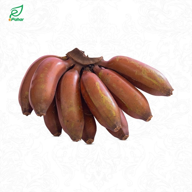 পাহাড়ি অগ্নিশ্বর কলা (মিরপুর, উত্তরা)