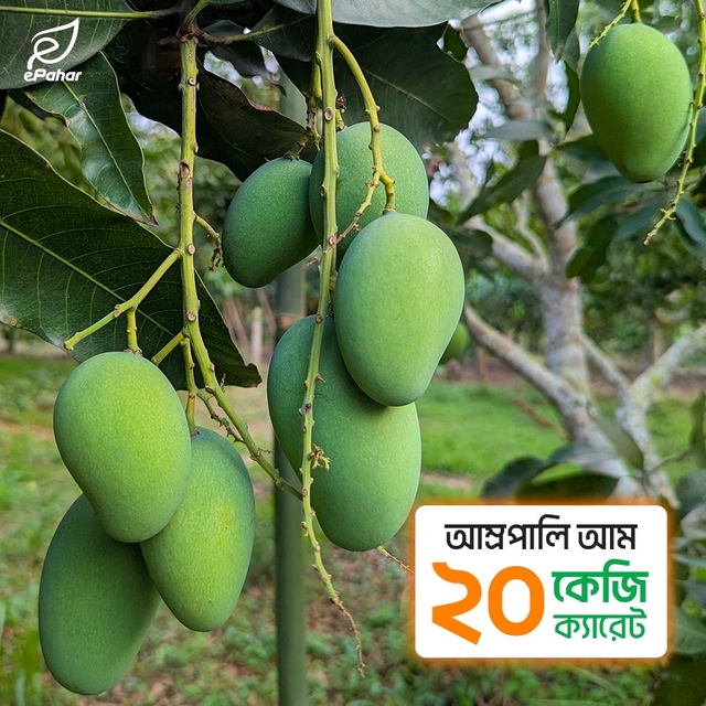 পাহাড়ি আম্রপালি আম (২০ কেজি)