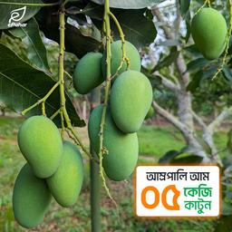 পাহাড়ি আম্রপালি আম (৫ কেজি)
