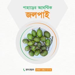 পাহাড়ি জলপাই